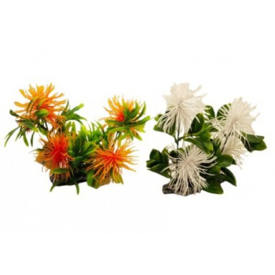 ΔΙΑΚΟΣΜΗΤΙΚΟ ΦΥΤΟ ΕΝΥΔΡΕΙΟΥ ΣΕ 2 ΧΡΩΜΑΤΑ 11Χ17CM